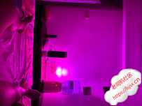 大奶牛妃妃报告